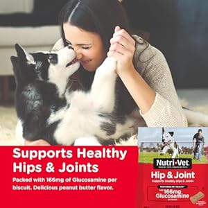 Nutri-Vet Hip & Joint Biscuits for Dogs – Tasty Dog Glucosamine Treat & Dog Joint Supplement – Small Sized Biscuit with 166mg Glucosamine – 16 oz