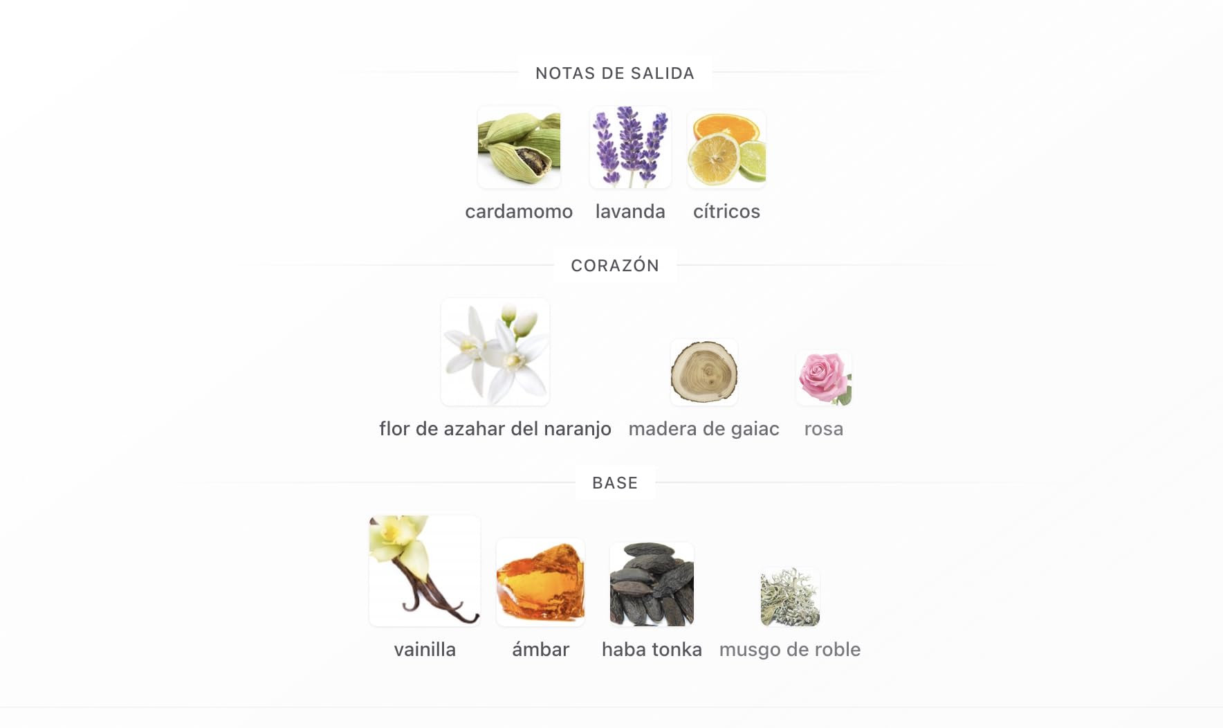 Liquid Brun Limited Edition Extrait de Parfum 150ml, Perfume Árabe Unisex de Larga Duración, Incluye Atomizador, Fragancia con Notas de Vainilla, Cardamomo y Tonka (Liquid Brun Limited Edition 150ml)