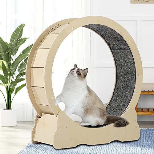 Aurgod Cat Exercise Wheel Indoor, Cat Treadmill With Locking Mechanism, Tpe Noiseless Roller, Cute Cat Running Wheel For Pet Loss Weight And Daily Exercise #TOP3