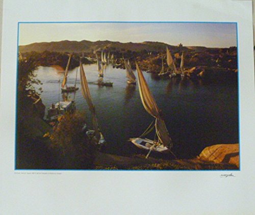 Affiche Egypte Bernard Naegelin poster 40X50 Cm