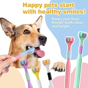 Dog Toothbrushpet Toothbrush Kit for Dogs  3 Sided Toothbrush Vibrant Colors  7 Dog Toothbrushes +2 Finger Toothbrushes Ultimate Oral Care for Happy Pets  Cucciolini Doodles Dog toothbrush pet toothbrush kit for dogs  3 sided toothbrush vibrant colors  7 dog toothbrushes +2 finger toothbrushes ultimate oral care for happy pets   cucciolini doodles