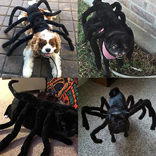 Wikhia Dog Halloween Costumes- Halloween Spider Costume For Dog Cat, Halloween Pet Cosplay Puppy Cat Costumes Apparel For Small Dogs Cats (L) #TOP5
