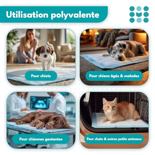 Accessoires puppy contre les fuites et accidents de propreté - 4