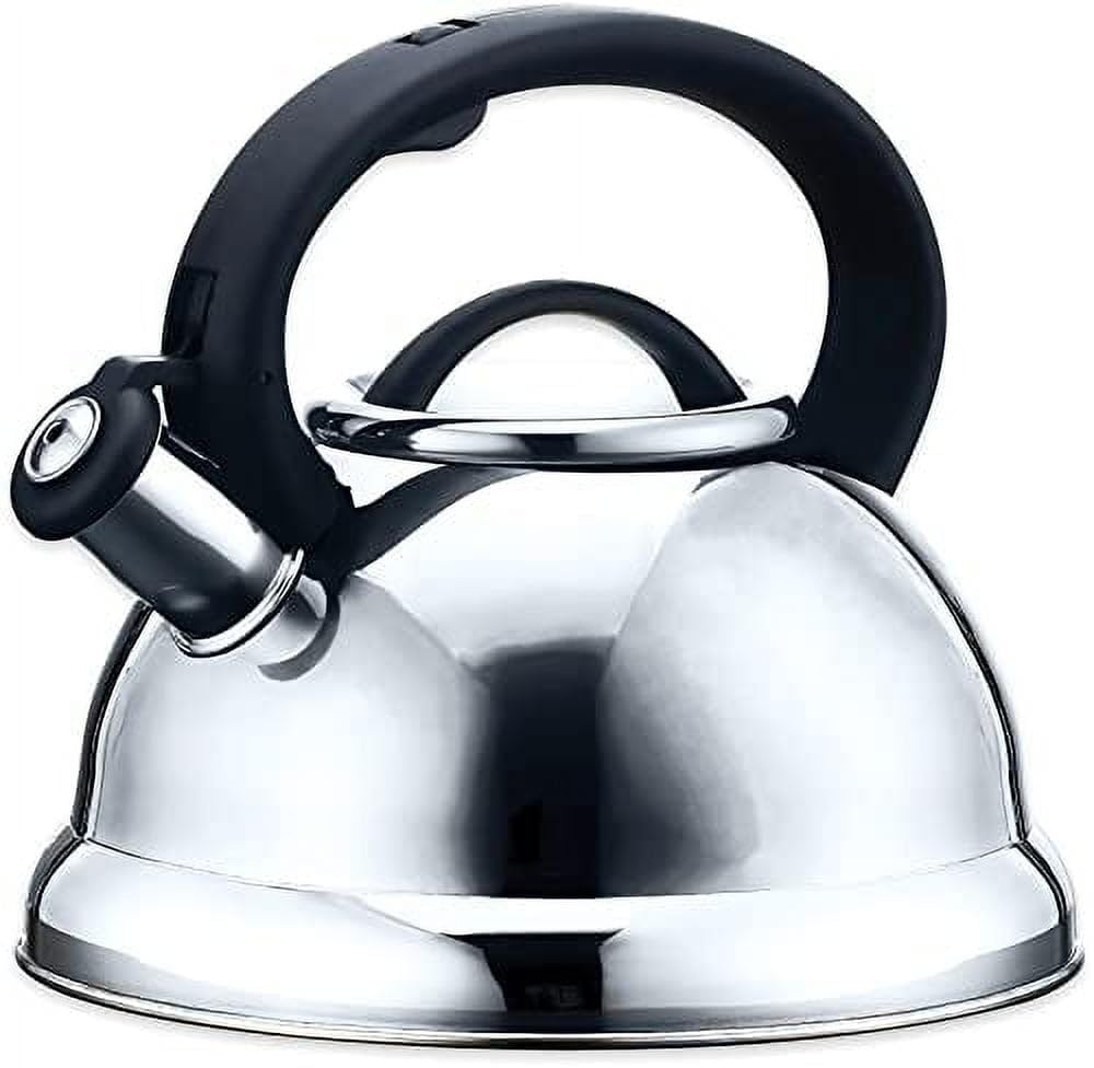 Amazon.com: EUROSTAR EK40 2.8L Stainless Steel Whistling Kettle