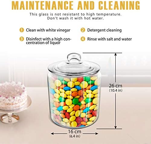 Masthome Large Glass Jar, 3.9L Glass Storage Jars with Sealed Lids, Clear Cookie Jar for Storing Coffee Capsule,Sweets, Biscuit - Includes 15pcs Food Storage Freezer Bags