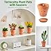 FELISTORY 4 Inch Terracotta Orchid Pots with Holes and Saucers, 6 Pack Small Terra Cotta Clay Orchid Planter Pots for Plant Flower Pots for Orchid Indoor and Outdoor Promotes Air Circulatio