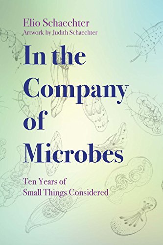 In The Company of Microbes: Ten Years of Small