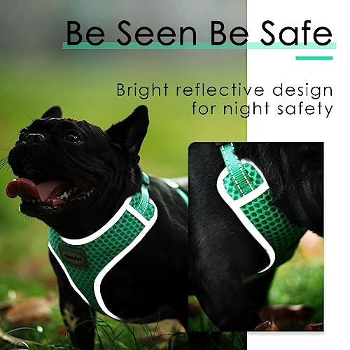 ThinkPet No-Pull Hundegeschirr Leine Set, Atmungsaktiv Brustgeschirr für Kleine Mittlere Große Hunde, Einstellbar Weich Laufgeschirre Sicher Kontrolle Gepolstert Reflektierendes Sicherheitsgeschirr