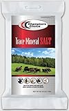 Champion's Choice Trace Mineral Salt, 50lb