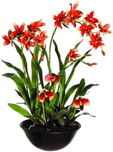 Silk D cor Oncidium/Lady's Slipper Orchid Floral Arrangements, 28-Inch