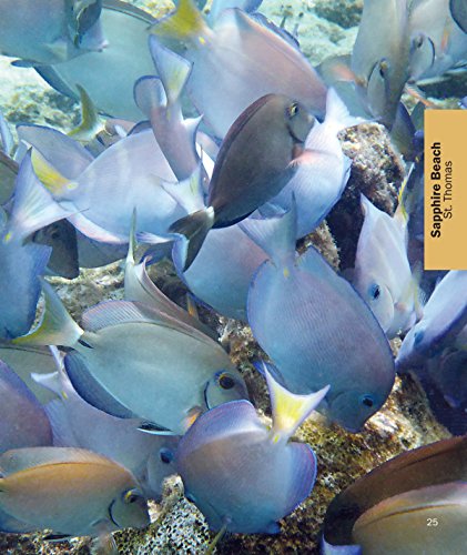 Us Virgin Islands Snorkeling Guide: St. Thomas, St. John, St. Croix #TOP5
