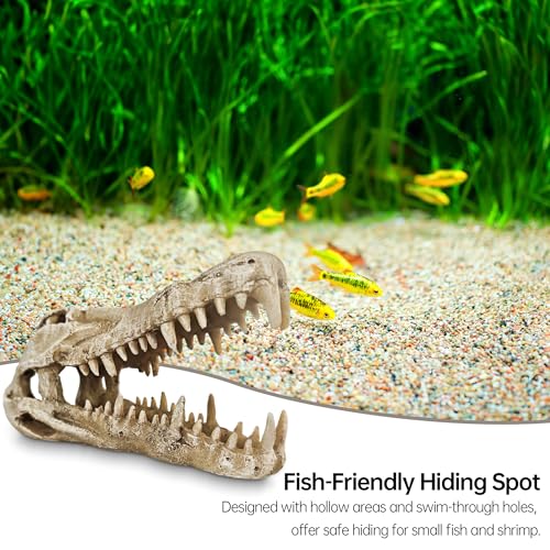Image of Dinosaur Skull Aquarium Decor - Ideal for Fish Tank Decorations, Terrarium Decor, Aquarium Ornaments, and Bearded Dragon & Gecko Tank Accessories, Gift for Reptile & Fish Lovers