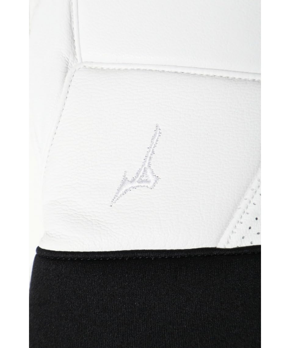 Amazon | [ミズノ]スキーグローブ LEATHER 5F GLOVES レザー グラヴズ