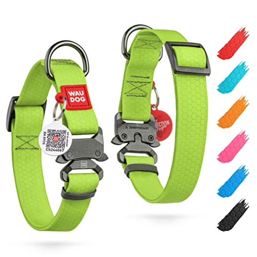 Wasserfest Hundehalsband Mittelgroße Hunde Halsband Hund Hundehalsband Kleine Hunde Halsbänder 25 mm Brete Verstellbares Hundehalsband Große Hunde & Welpen Halsband mit Metall-Verschluss
