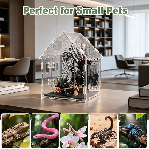 Image of Acrylic Jumping Spider Enclosure with Gothic Decor Kit | magnetic lock, feeding port, climbing wall, hide, plants, and gothic figurines