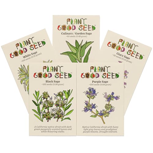 Plant Good Seed Organic Sage Seed Collection - 5 Packets