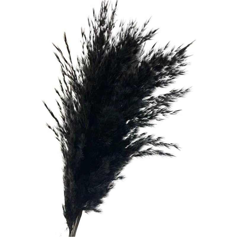 Ramo de plumero pampas negro 5 piezas miniatura 2