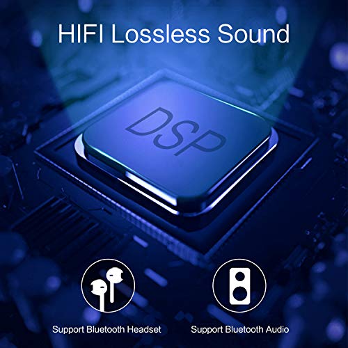 MP3 Player, 16GB MP3 Player with Bluetooth 4.2, Portable HiFi Lossless Sound MP3 Music Player with FM Radio Voice Recorder E-Book 2.4'' Screen, Expandable up to 128GB (Headphone, Armband Included)