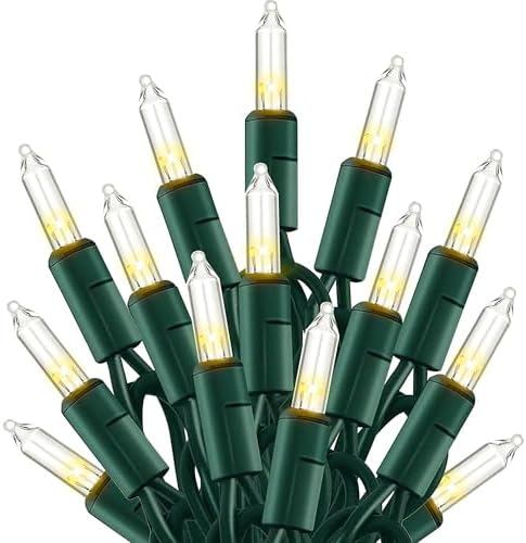 TW SHINE Warm White Christmas Lights Outdoor, 20FT 100 Count Inca...