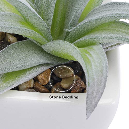 Funarty Artificial Succulent Plants In Pots, Fake Succulent Small Potted Faux Succulent Plants, Mini Fake Plants In White Ceramic Pots Set Of 5, Desk Plant For Home Bathroom Small Spaces Decoration #TOP3