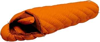 51ArqeDygXL._AC_UF350,