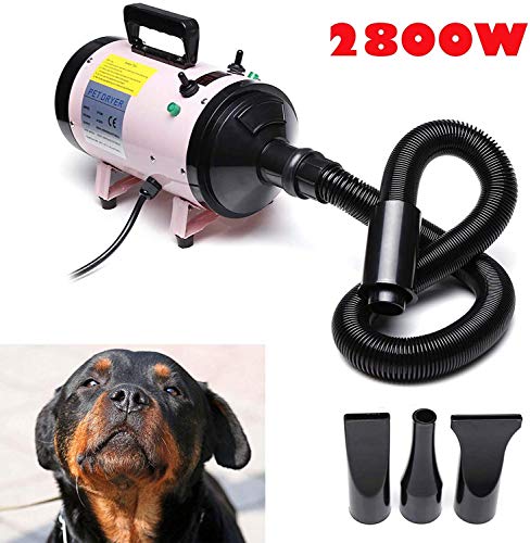 Professioneller Hund Hund Katze Haartrockner Leistungsstarke 2800W Pflege Haar Trockenmantel Pelz Blaster Hitze auf