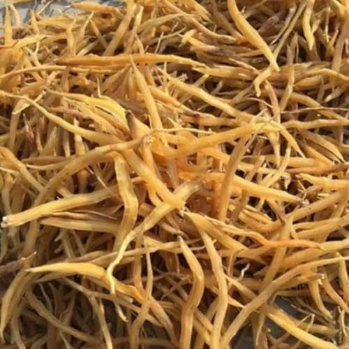 Image of Premium Shatavari Root 100g (Asparagus Racemosus) | Natural Himalayan Shatawar Whole Dried Roots | Traditional Ayurvedic Herb for Health & Immunity