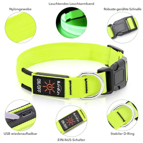 Illumifun Leuchthalsband Hund, USB LED Hundehalsband, Wiederaufladbar Hundehalsband Leuchtend für Hunde Einstellbare Größe, 3 Beleuchtungsmodi für Mittlere Hunde (Grün, M)