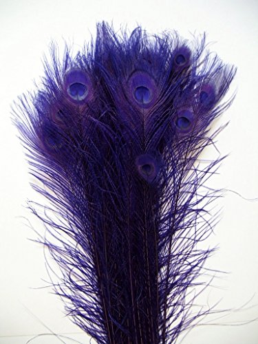 10 Pcs Peacock Bleached Feathers (35''- 40
