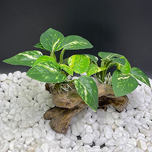 Image of Fish Tank Decorations Aquarium Decor Ornaments Betta Silk Leaf pad Hammock Artifical Driftwood cave Goldfish Bowl Accessories (Type-C)
