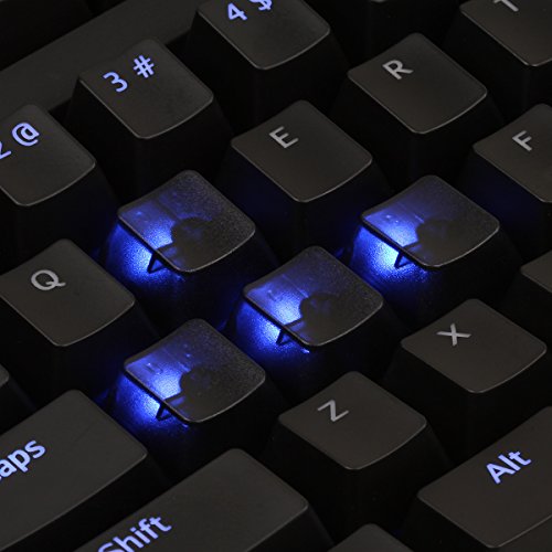 Max Keyboard Translucent Cherry Mx Keycap Set For Esc, W,A,S,D Or E,S,D,F And Arrow Keys (Black Translucent - Blank/No Print) #TOP4