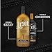 Lexol All Leather Cleaner for Car Interior, Couches and Furniture, Shoes and Boots, Purses and Handbags, Baseball Gloves and Horse Saddles, and More, 16.9 oz