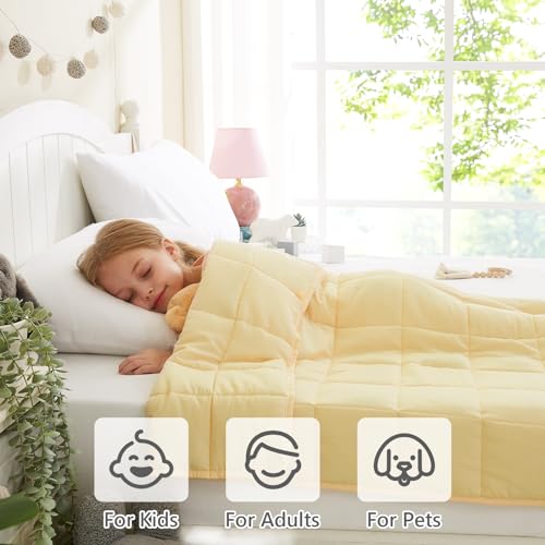L'AGRATY Weighted Blanket - 36"x48" 5lbs Microfiber Material with Glass Beads Small Blanket for All-Season Summer Fall Winter Soft Thick