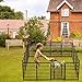 Getlay 36 in(H) Garden Fence, Wide Gate Low Threshold, 10 Panels Total 22.1 Ft(L) Heavy Duty Iron Animal Barrier Fence for Yard,Suitable for Indoor Or Outdoor Dog Fencing,Garden Border Fence