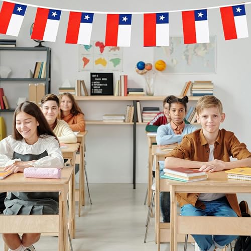 Image of Chile Flags Chilean String Flag Banners for Patriotic Events Independence Day Sports Bars Inside Outside Decorations 33 Feet 30 Flags