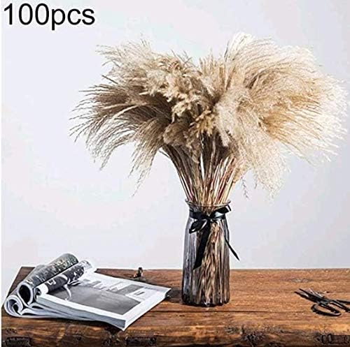 yunbox299 1Bundle/100Pcs Pampas Grass Bunch, Natural Dried Reed Plumes, DIY Phragmites Communis, Bouquet Flower Bunch Arrangement Wedding Holiday Party Decor