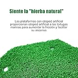 Voarge B0BKF4CN48 lato 2