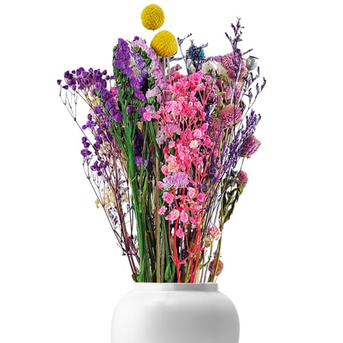 39 piezas de flores secas decorativas, muchos tipos, flores artificiales, colores vivos, larga vida útil, no se marchita, para decoraciones diarias para el hogar, fiestas y bodas