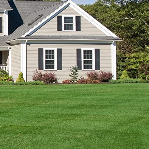 Outsidepride Maya (Blackjack Ii) Warm Season Drought Tolerant, Fast Growing, Bermuda Lawn, Turf Grass Seed - 50 Lbs #TOP2