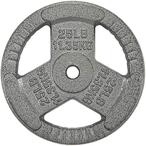 HulkFit 1-inch Iron Plate for Strength Training, Weightlifting, Single (25 Pounds), Silver