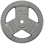 1-Inch Standard Cast Iron Weight Plate for Strength Training & Weightlifting, Multiple Sizes