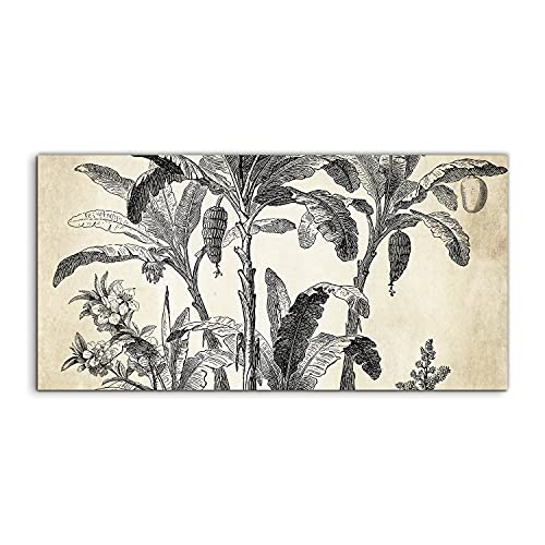 Image sur verre 120x60cm Palma Nature Vintage pour salon