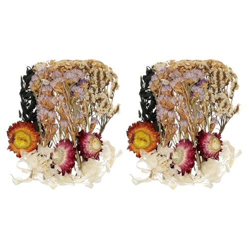 Set de 2 juegos de flores secas naturales beige