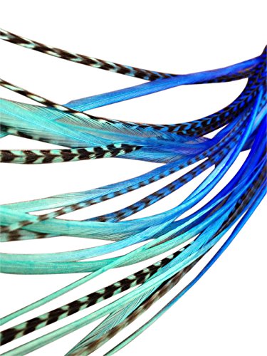 Feather Hair Extensions, 100% Real Rooster Feathers, 20 Long Thin Loose Individual Feathers, By Feather Lily