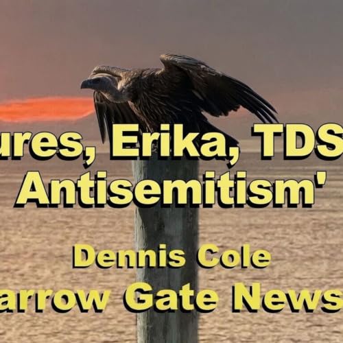 Vultures, Erika, TDS, And Antisemitism