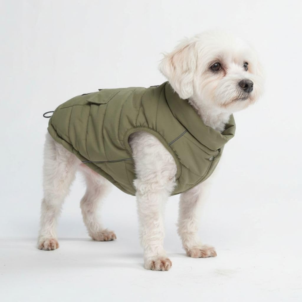 Spark Paws Dog Winter Jacket