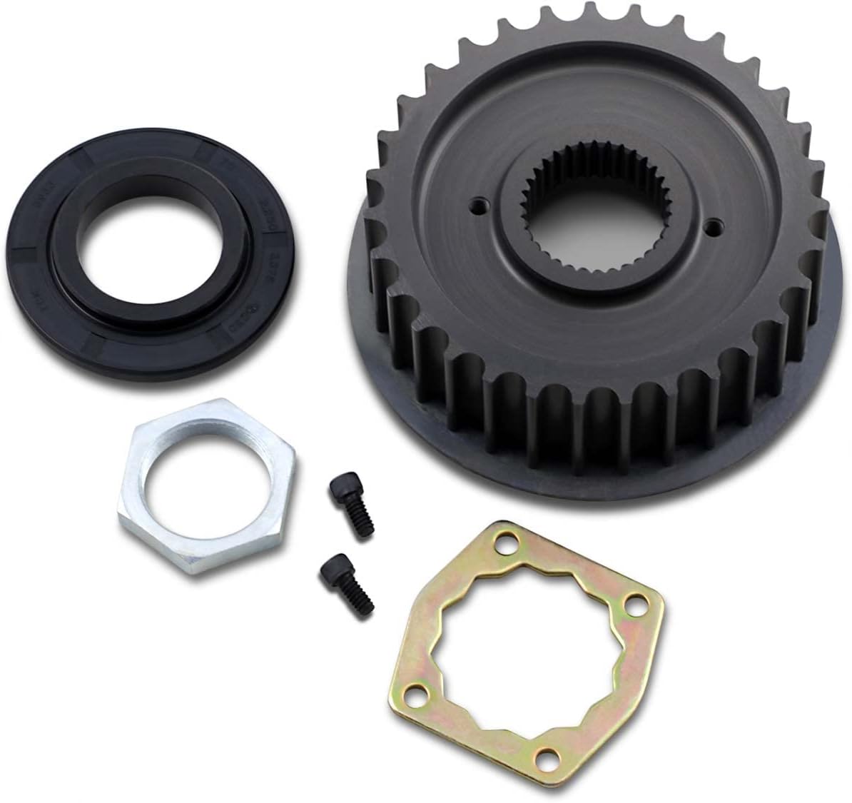 Belt Drives Ltd. TP-31 31-tooth Transmission Pulley for Harley-Davidson Big Twin (5-Speed) (360166)