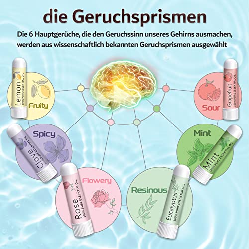 Hion Riechtraining Set, Sniffin Sticks, 6 ätherischen Ölen, Geruchstraining Set hilft Ihren Geruchssinn wiederzuerlangen, Zitrone Minze Rose Grapefruit Gewürznelke Eukalyptus Ätherische Öle