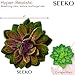 Seeko Artificial Succulents - 15 Pack- Premium Succulent Plants Artificial - Realistic Faux Succulents - Unpotted Textured Fake Succulents Decor for DIY