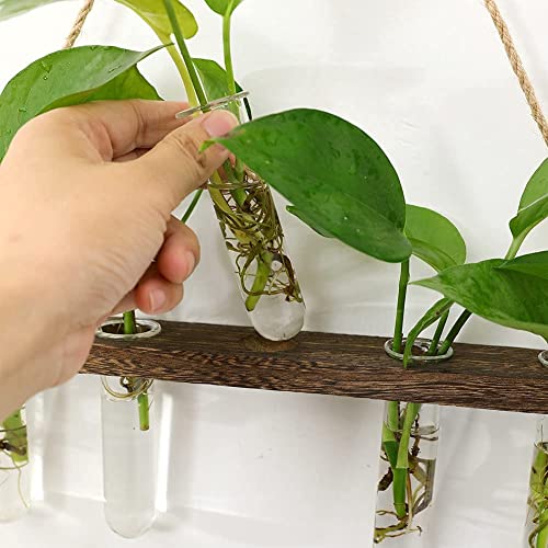 Fashionstorm Wall Hanging Planter Terrarium With Wooden Stand, 3 Tiered Plant Propagation Tubes, Flower Test Tube Vases Retro Hanging Glass Propagation Planter For Hydroponic Plants Cutting #TOP4